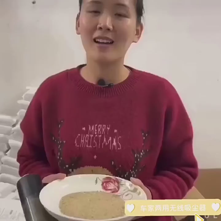 Mini Wet/Dry Vacuum Cleaner for Car + Home - Compact & Powerful